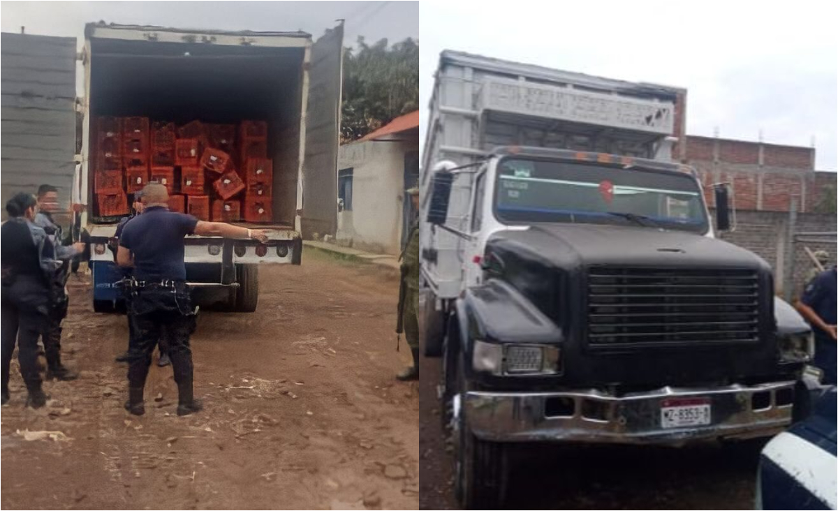 SSP  SSP recupera 2 tractocamiones robados, en Uruapan: cargaban más de  7.4 toneladas de aguacate